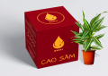 In Hộp Giấy Offset Đẹp: Bí Quyết Nâng Tầm Thương Hiệu