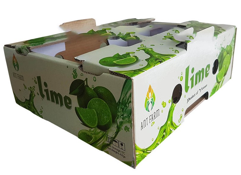 hộp carton in bồi offset