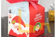 Nhận thiết kế sáng tạo hộp đựng bánh mùa GIÁNG SINH